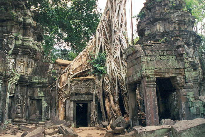 039_siem_reap__ta_prohm.jpg