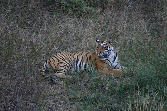 082_Ranthambore_Nat_Park.JPG