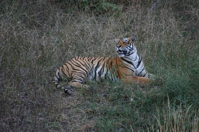 083_Ranthambore_Nat_Park.JPG