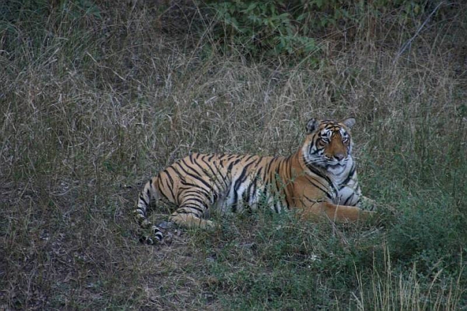 088_Ranthambore_Nat_Park.JPG