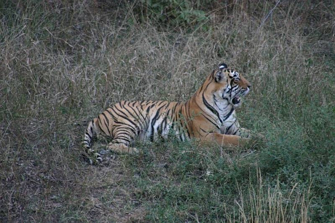 089_Ranthambore_Nat_Park.JPG