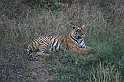085_Ranthambore_Nat_Park