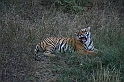 087_Ranthambore_Nat_Park