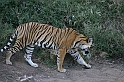 092_Ranthambore_Nat_Park